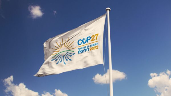 COP 27: Loss and damage fund