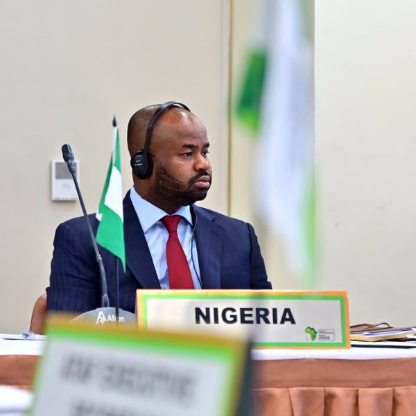 Zach Adedeji, Chairman of the Federal Inland Revenue Service (FIRS)